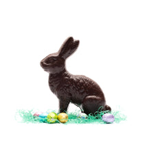 Load image into Gallery viewer, Chocolate Rabbit 8 ounces