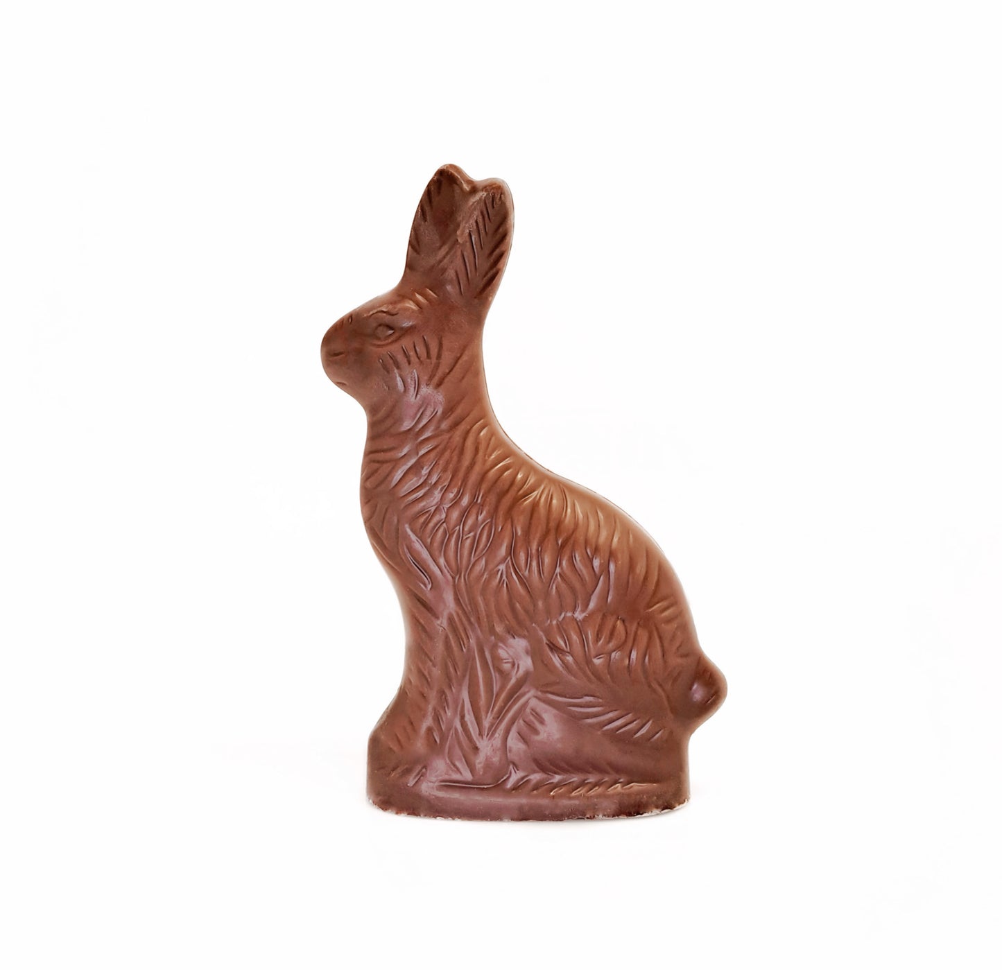 Milk chocolate rabbit on a white background