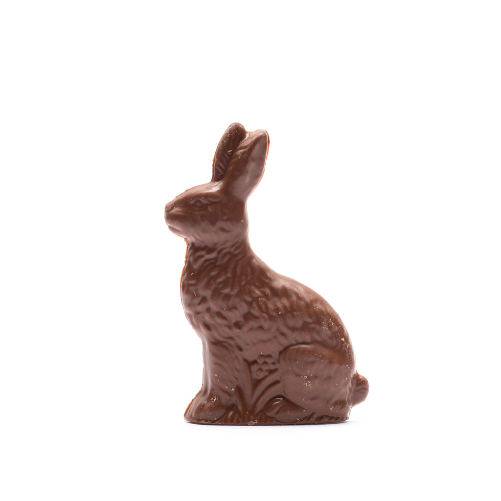 A dark chocolate rabbit on a white background