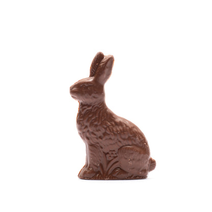 A dark chocolate rabbit on a white background
